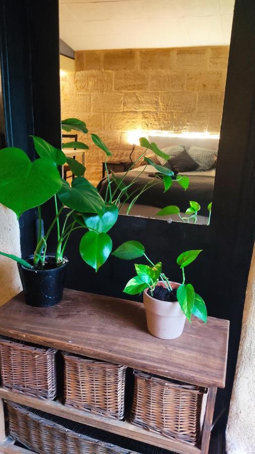 --- Appartement entier au coeur des vignes 1 à 4 pers --- Barsac  Esterno foto